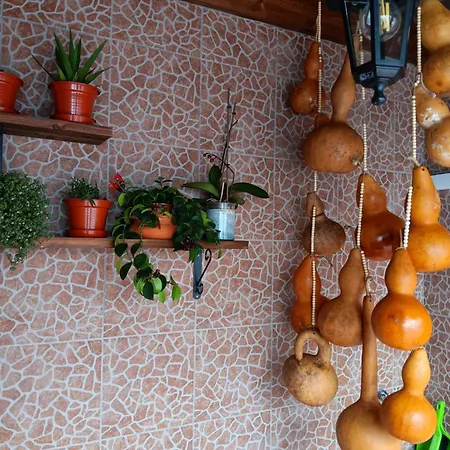 Casa Da Rosarinha Vila Agua de Alto Exterior foto