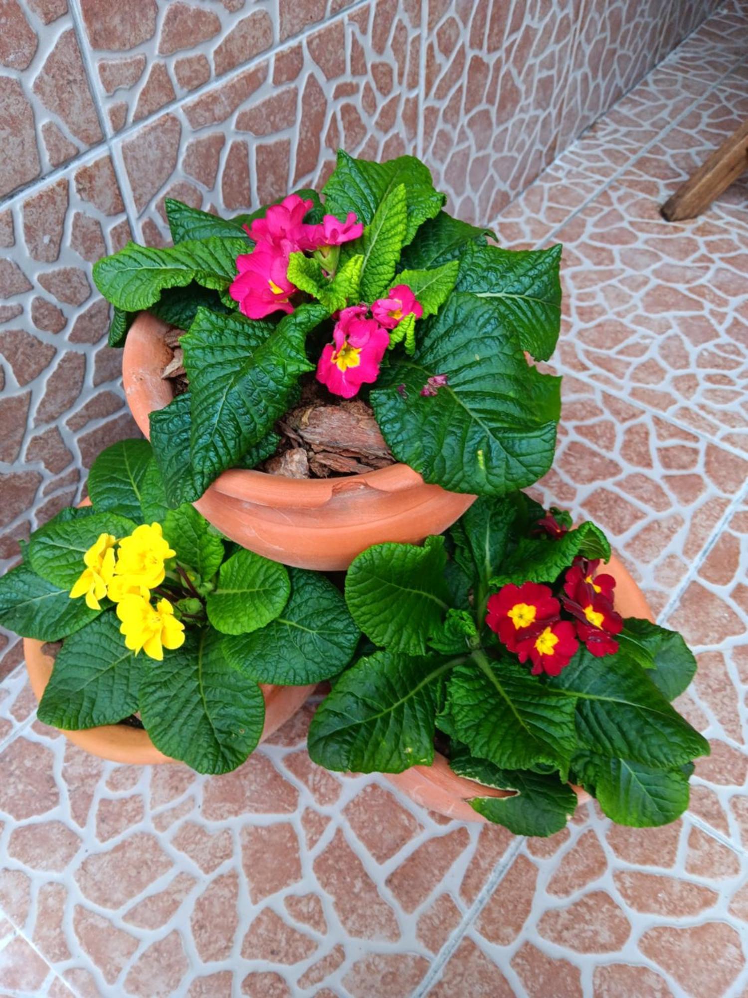 Casa Da Rosarinha