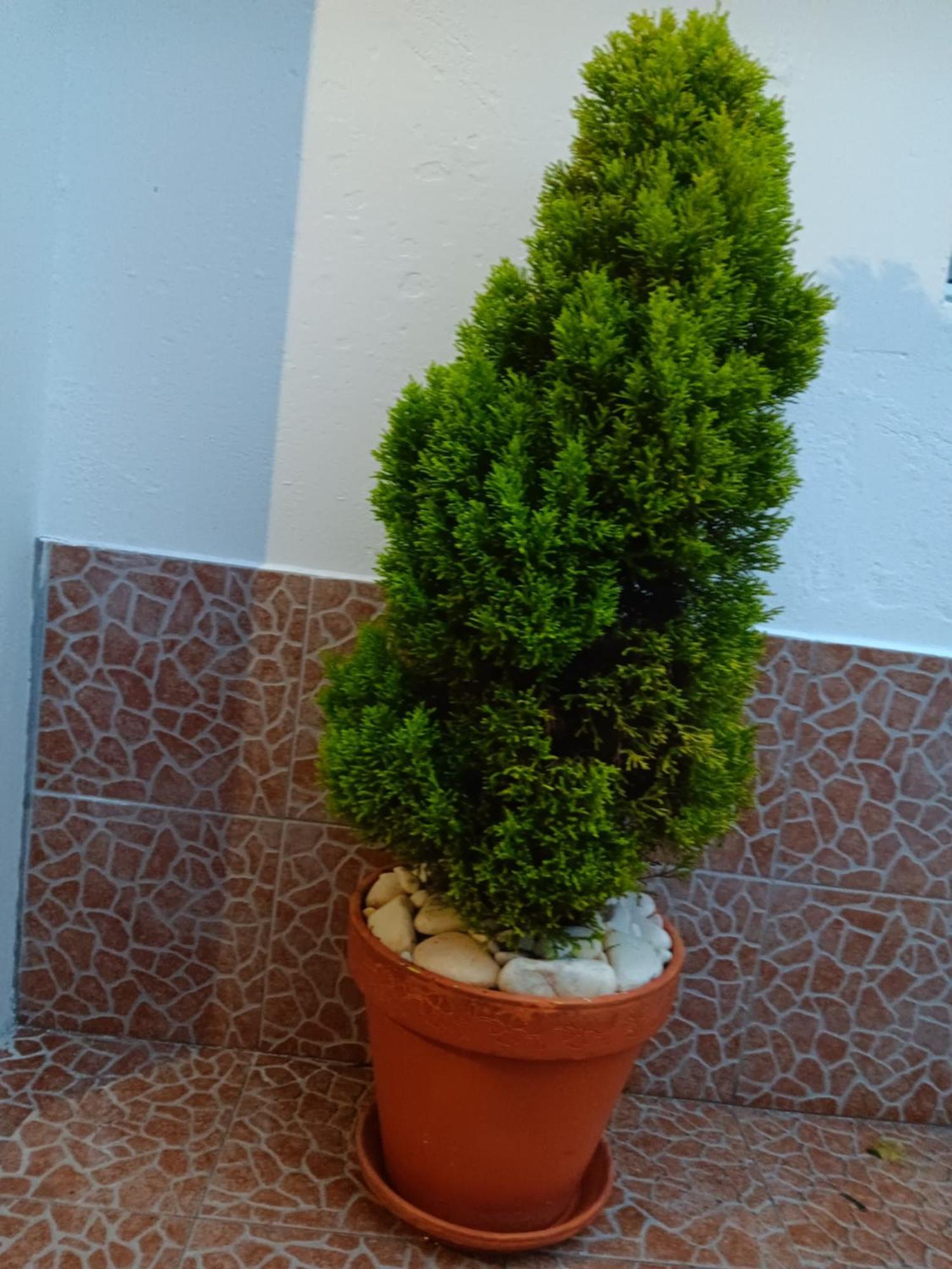 Casa Da Rosarinha