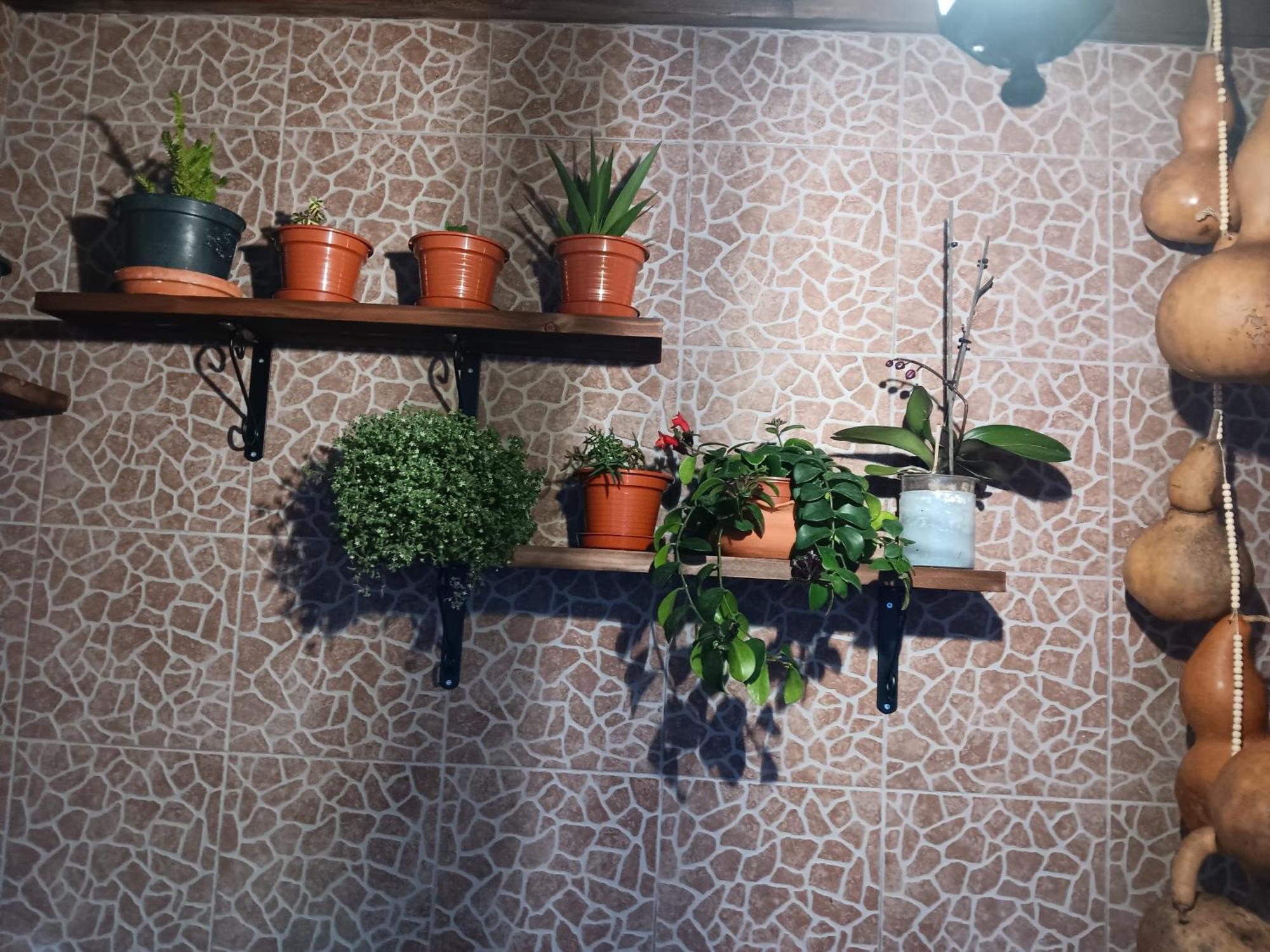 Vakantiehuis Casa Da Rosarinha *
