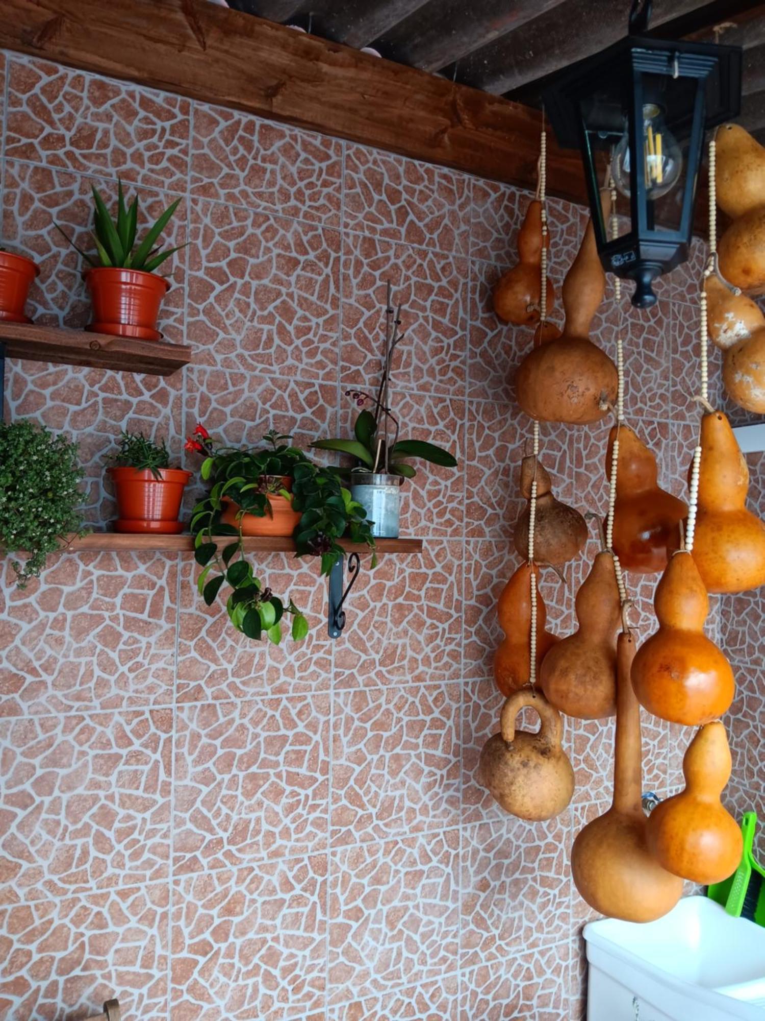 Vakantiehuis Casa Da Rosarinha *